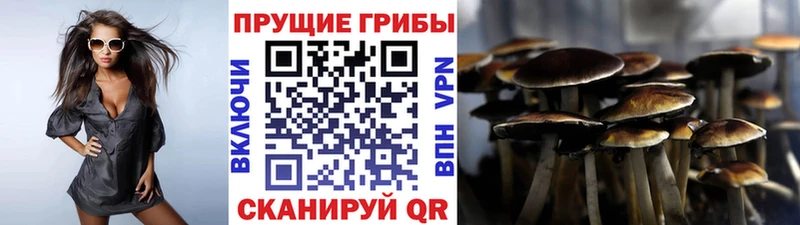 Купить  Шарья  Псилоцибиновые грибы ЛСД 